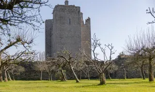 Castillo de Barryscourt