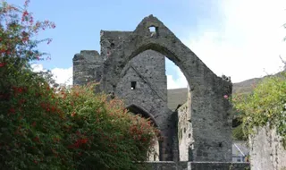 Castillo de Carlingford