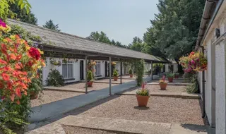 Posada de la trucha marrón