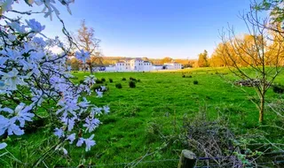 Jardines y finca de Mount Congreve