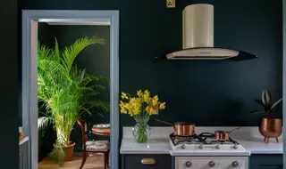 Mount Congreve | Forest Rooms