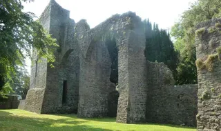Castillo de Maynooth