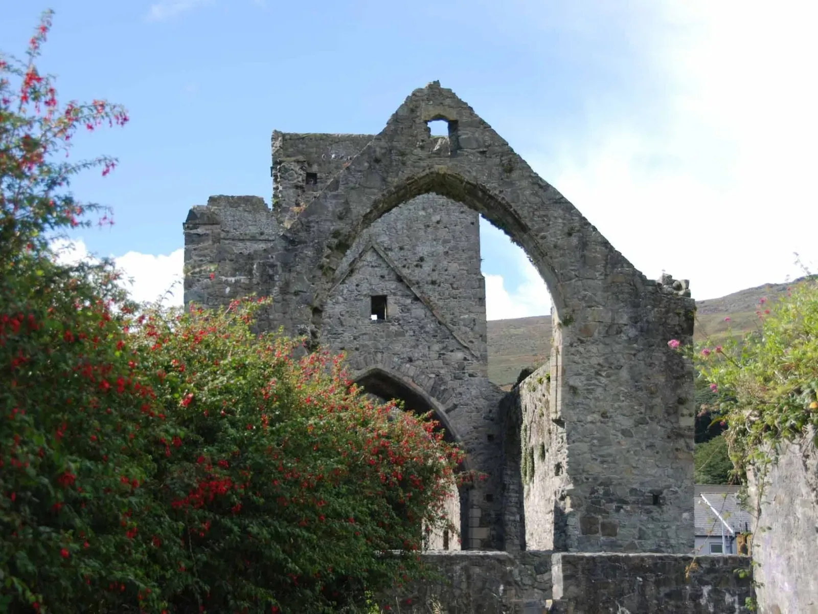 Carlingford Castle