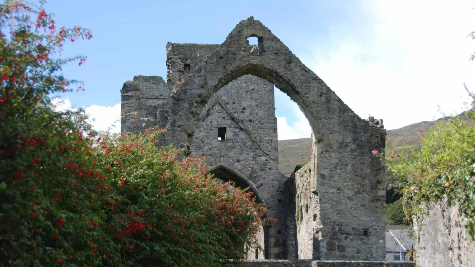 Carlingford Castle