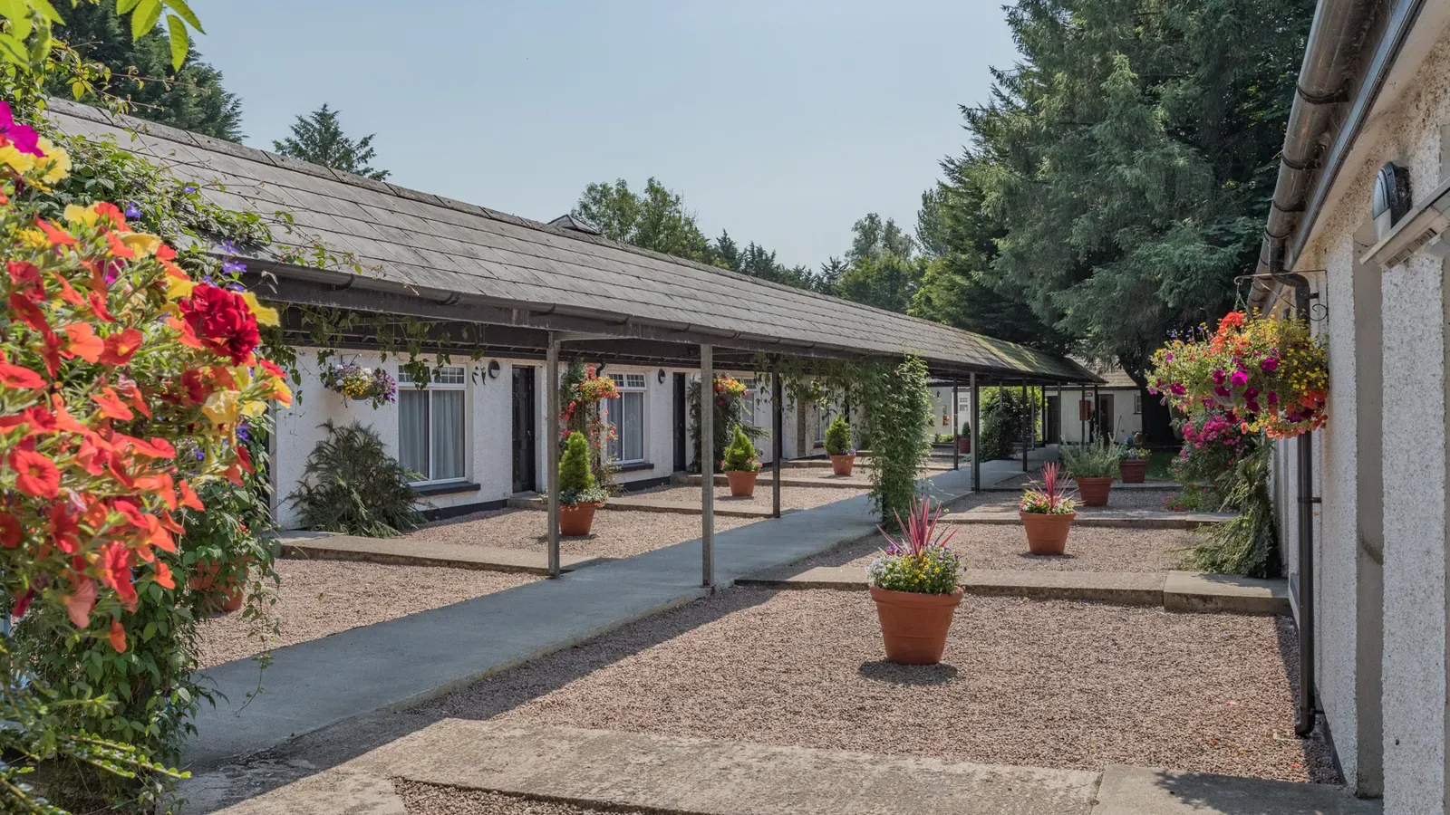 Brown Trout Inn 