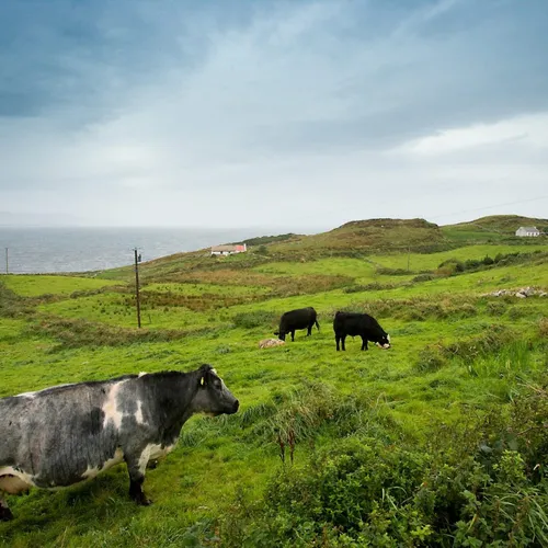 home.partners2.title