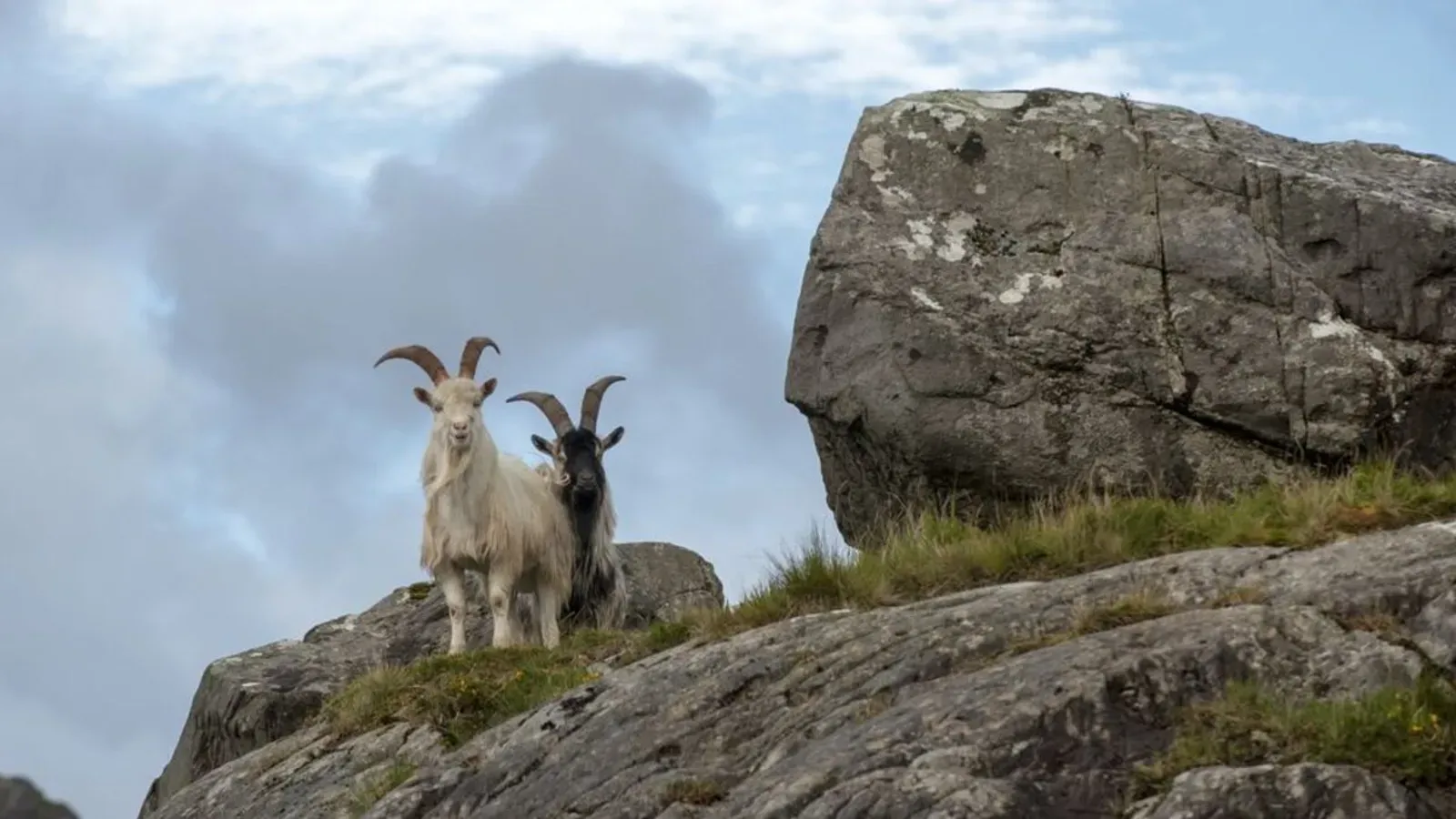 7-Day Introduction to Ireland Round Trip