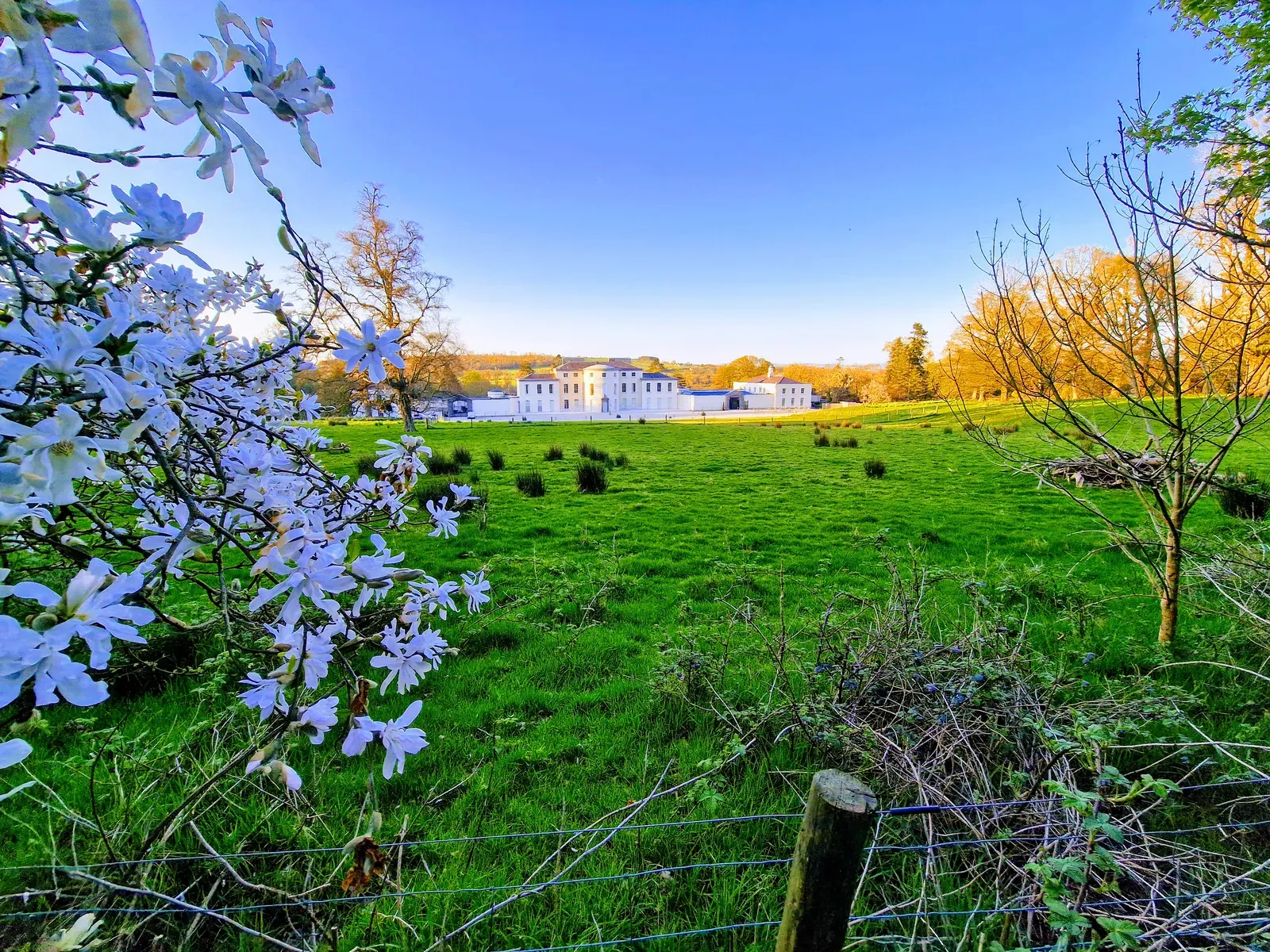 Mount Congreve Gardens & Estate