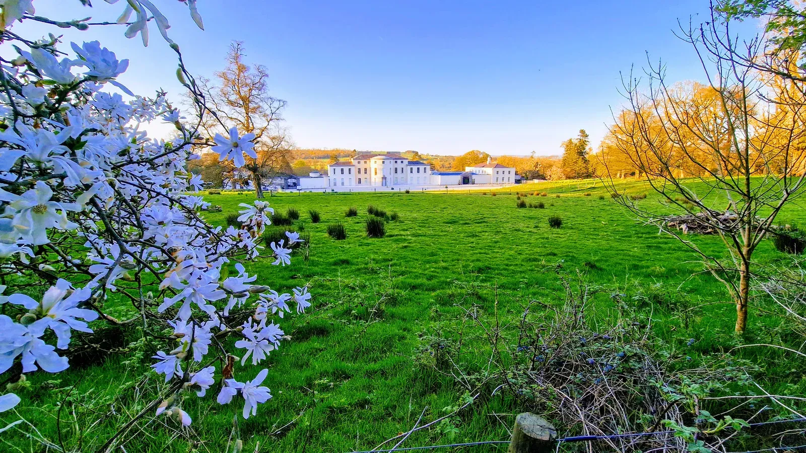 Mount Congreve Gardens & Estate