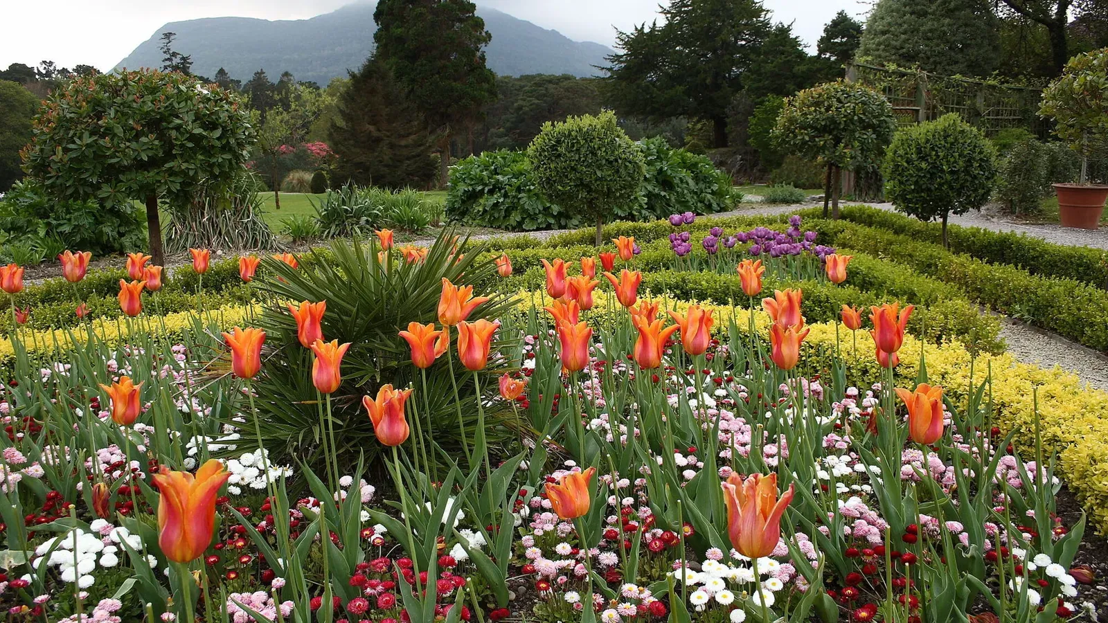 Killarney